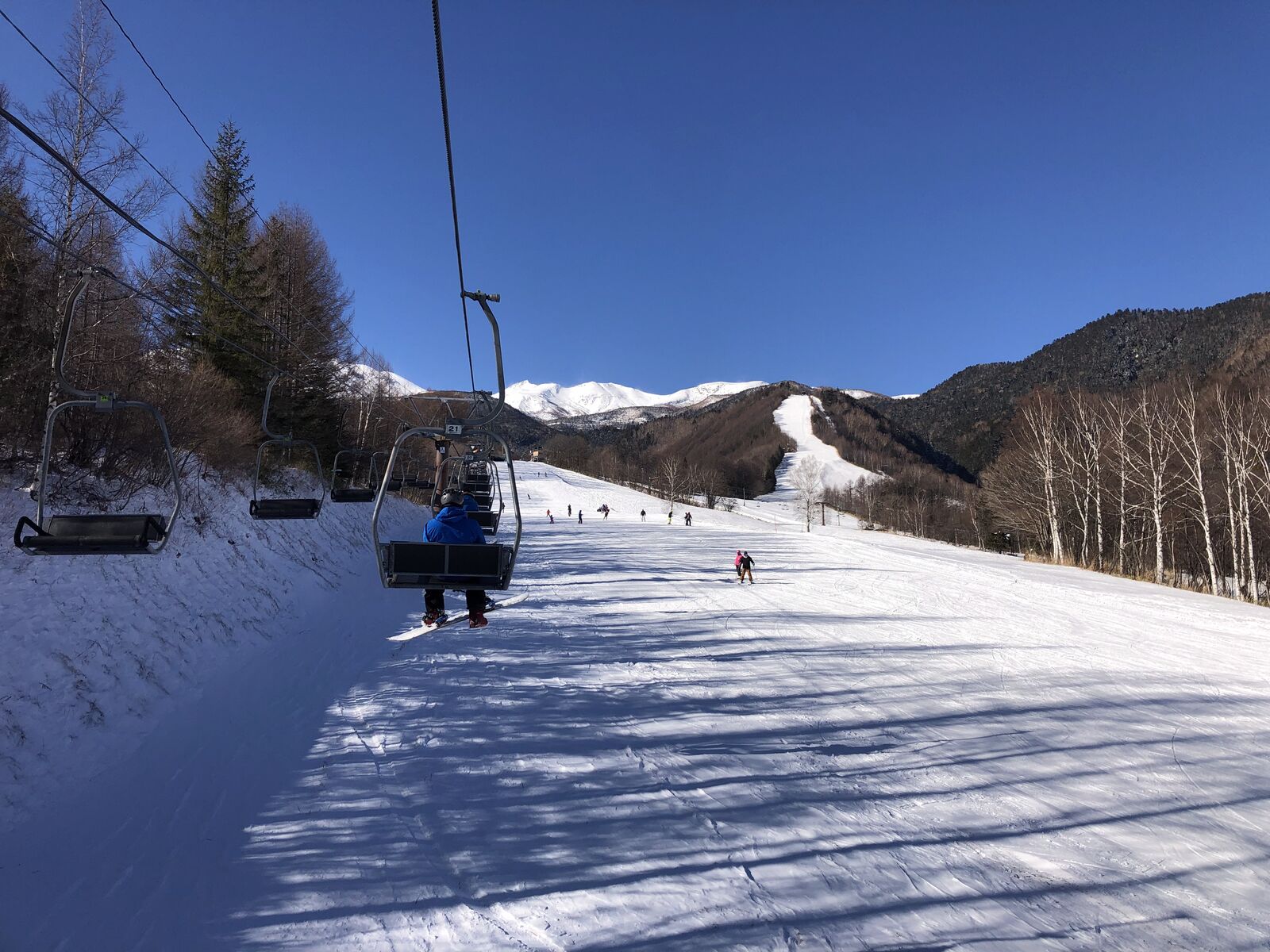 ペアリフトから見たパラダイスコース。広く緩やかな斜面をスキーヤーが滑る、快晴の乗鞍高原ゲレンデ